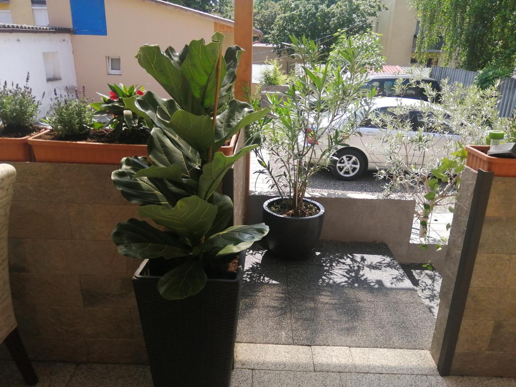 Filsdeger Haz - Central Rooms & Apartmans ภายนอก รูปภาพ